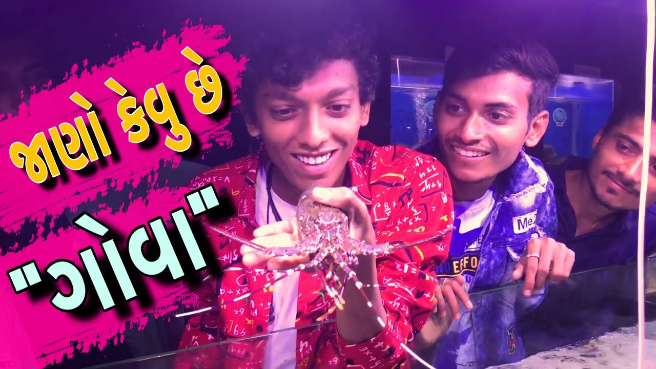 Let’s Travel Goa | ચાલો ગોવા | Gujrati Travel Vlog | Bhavin Variya