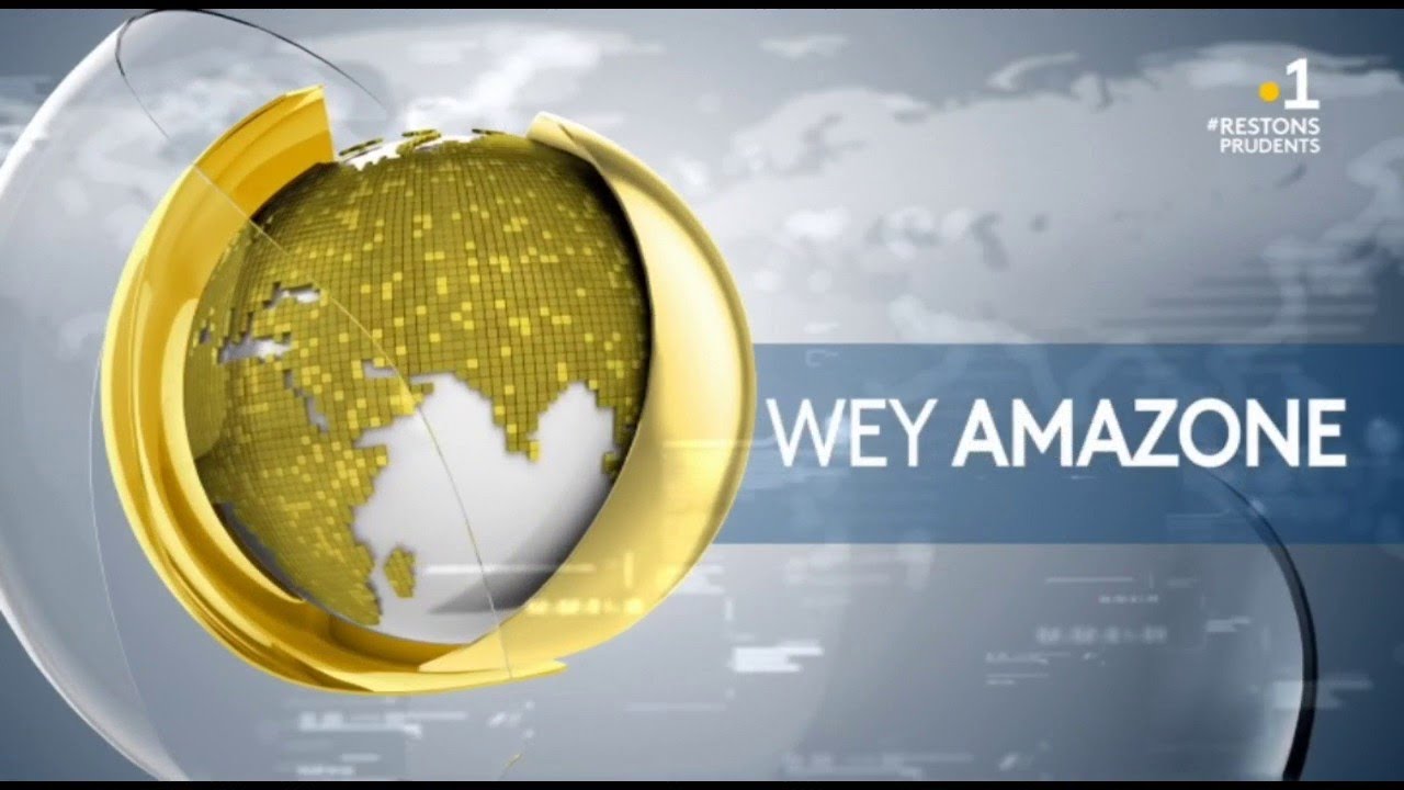 Wey Amazone : La r&eacute;serve du mont Grand Matoury, la nature en sursis