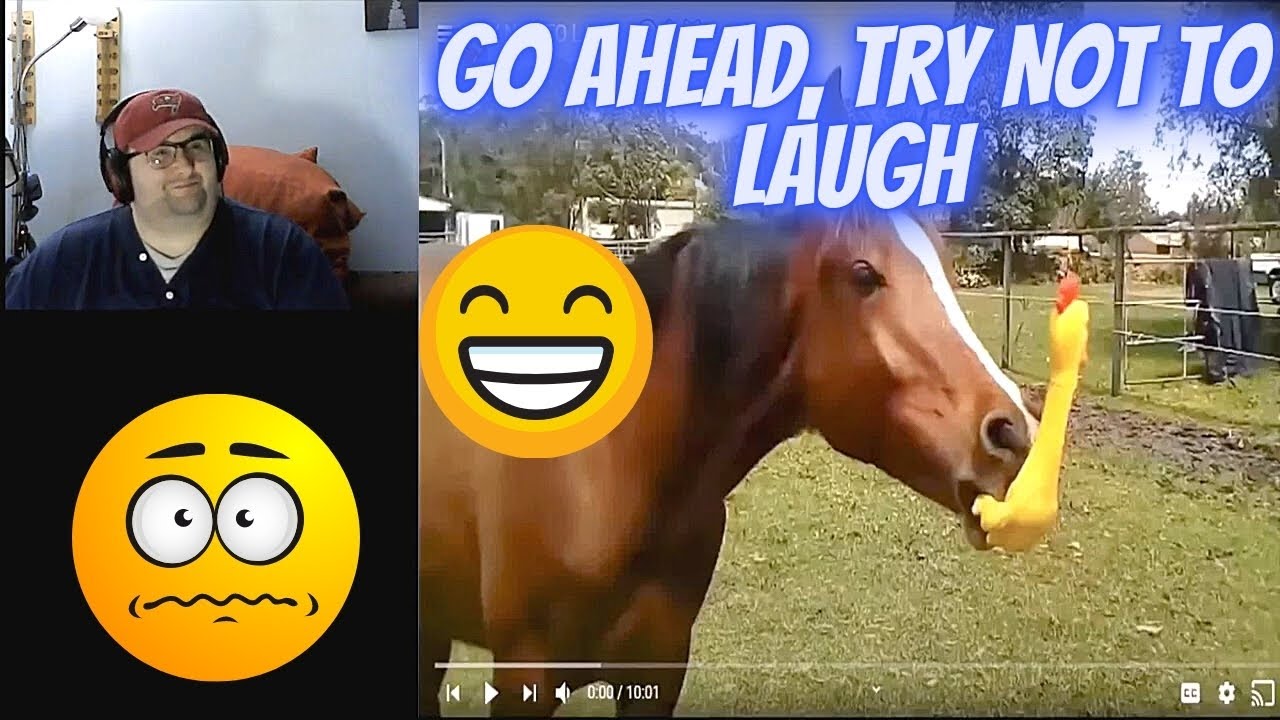 TRY NOT TO LAUGH 😂🔥😹 (Reaction!!)
