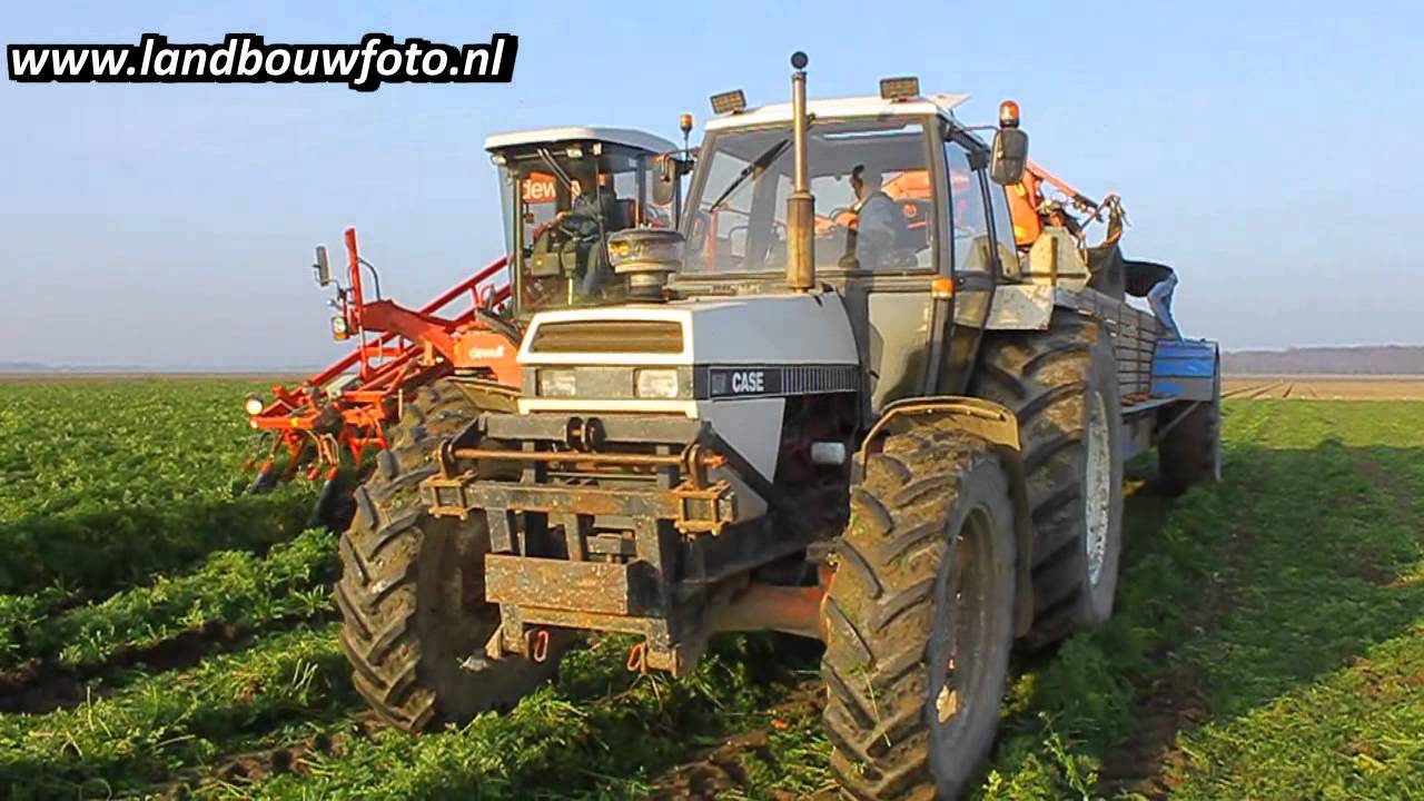 www.landbouwfoto.nl - Wortelen rooien bij Fa. Groeneweg.