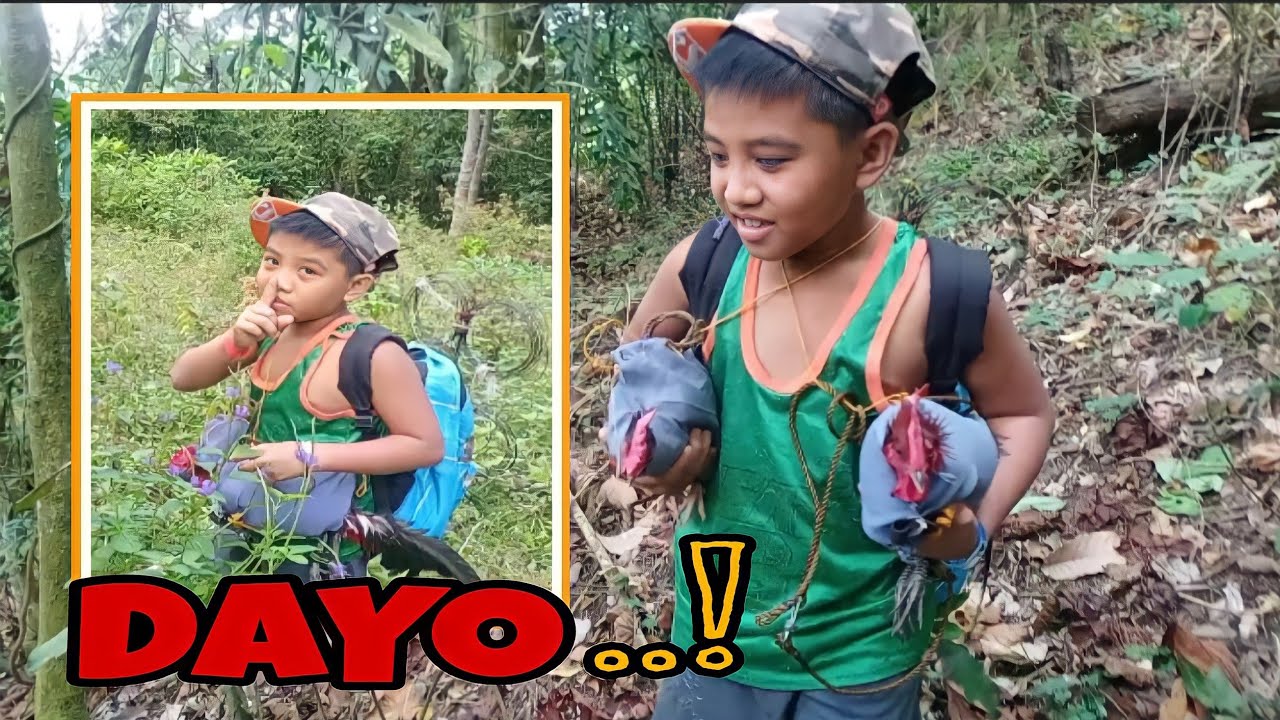 DAYO NAKAHULI AGAD SA BAGONG SILO|| #labuyo #junglefowl #buhayprobinsya