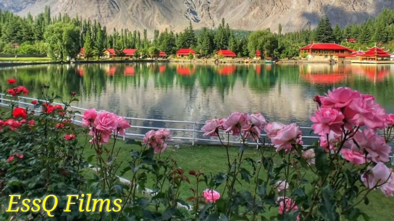 Aman ki wadi Gilgit Baltistan/Glimps From GilGit BalTistan _ Summers 2k19