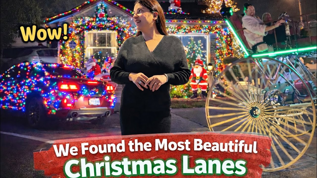 Exploring Christmas Decorations in Our Neighborhood ✨