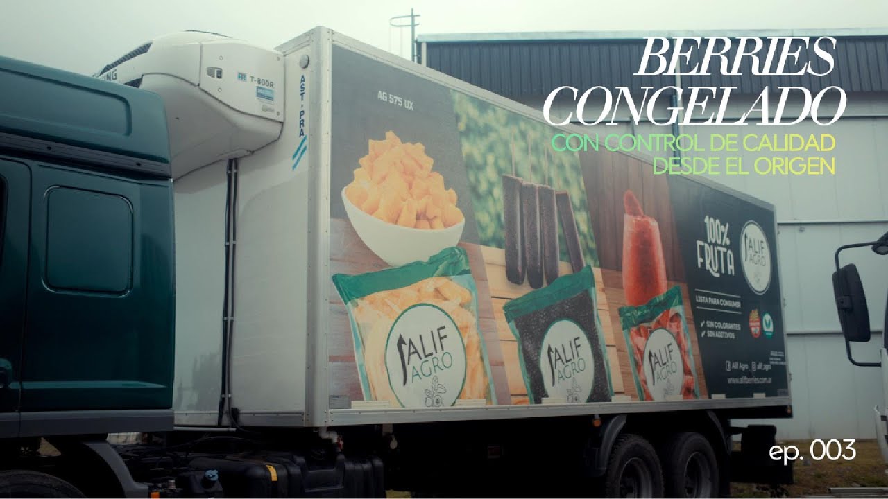 Berries congelados con control de calidad desde el origen