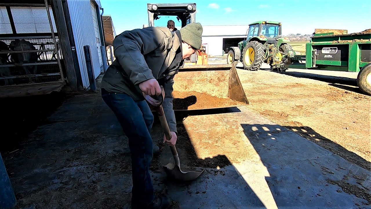 Hauling Bed Pack Manure