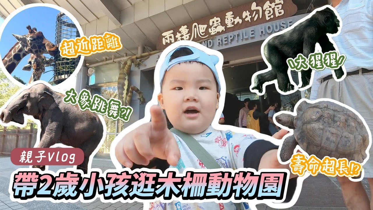 帶2歲小孩逛木柵動物園/台北市立動物園/親子景點/ Vlog 5