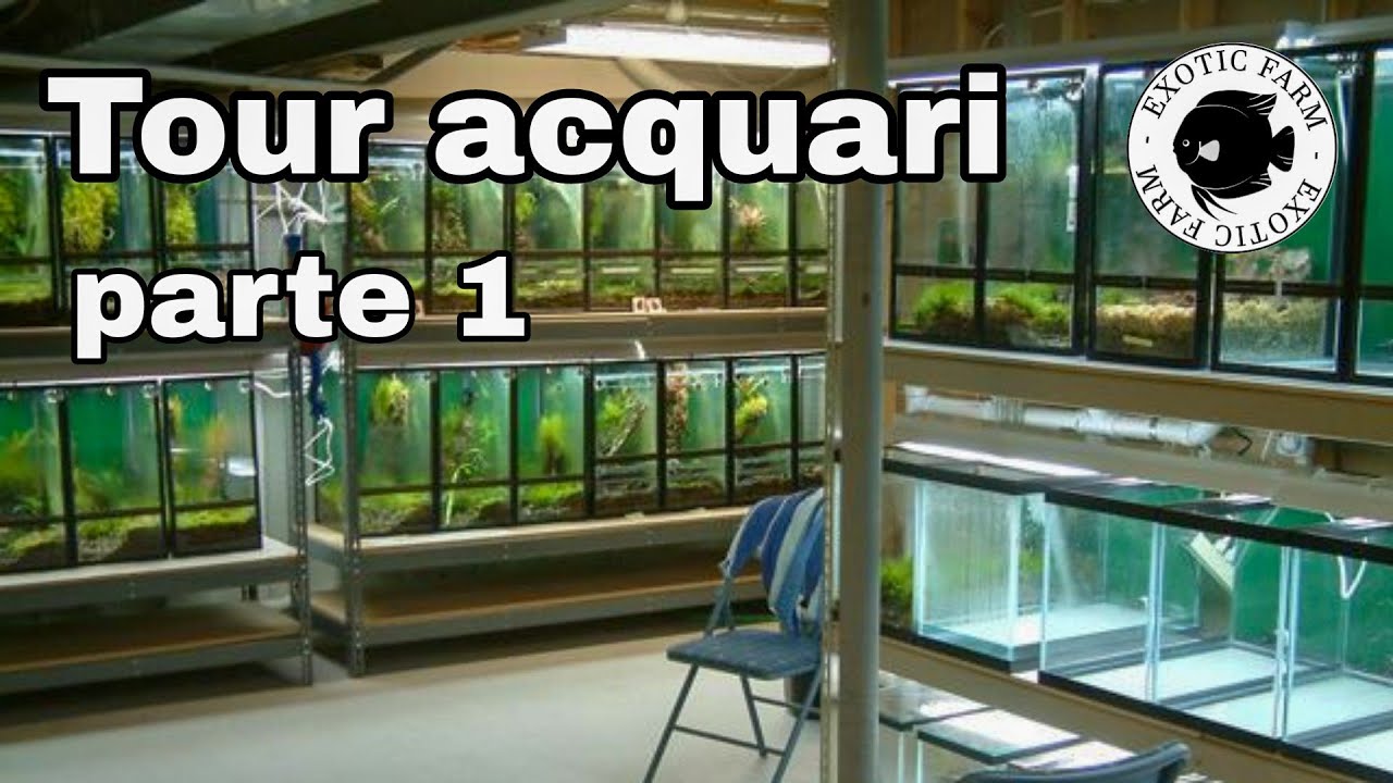Nuovo TOUR degli ACQUARI (parte 1)