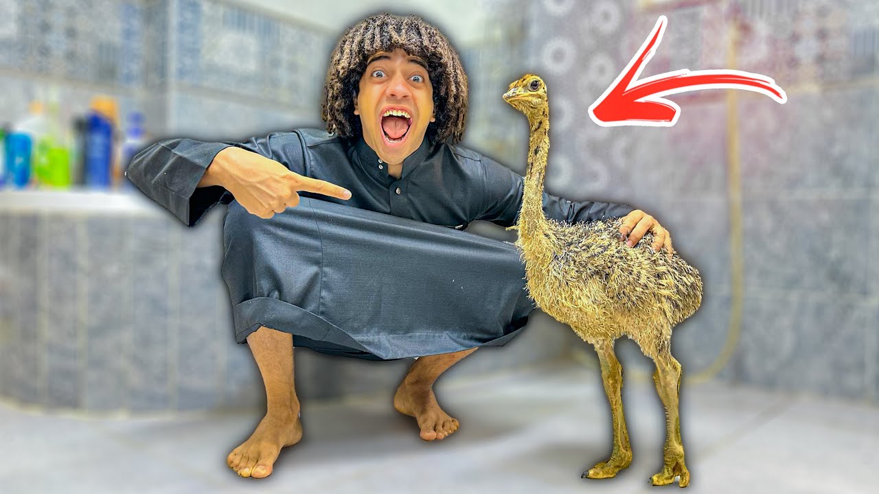 اشتريت بيبي نعامه لعيد الاضحى ( بيبي عزوز اتكلم لاول مره ) 😨
