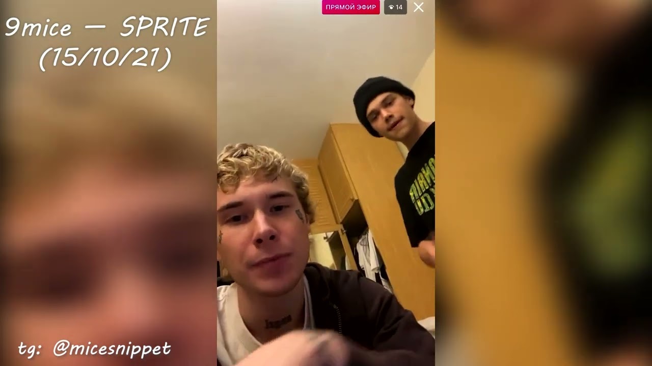 9mice — SOLOIST / ВСЕ СНИППЕТЫ / ALL SNIPPETS / 2021