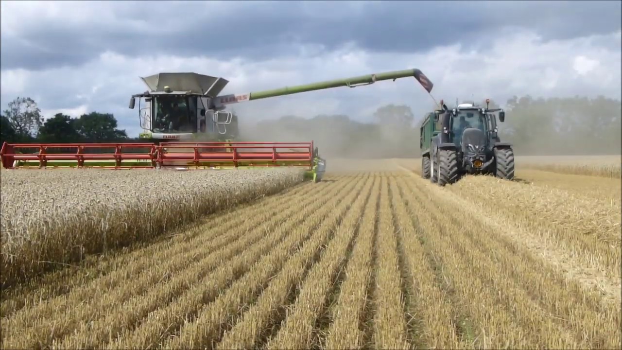CTF harvest at Bullymore's Farm, UK 2019