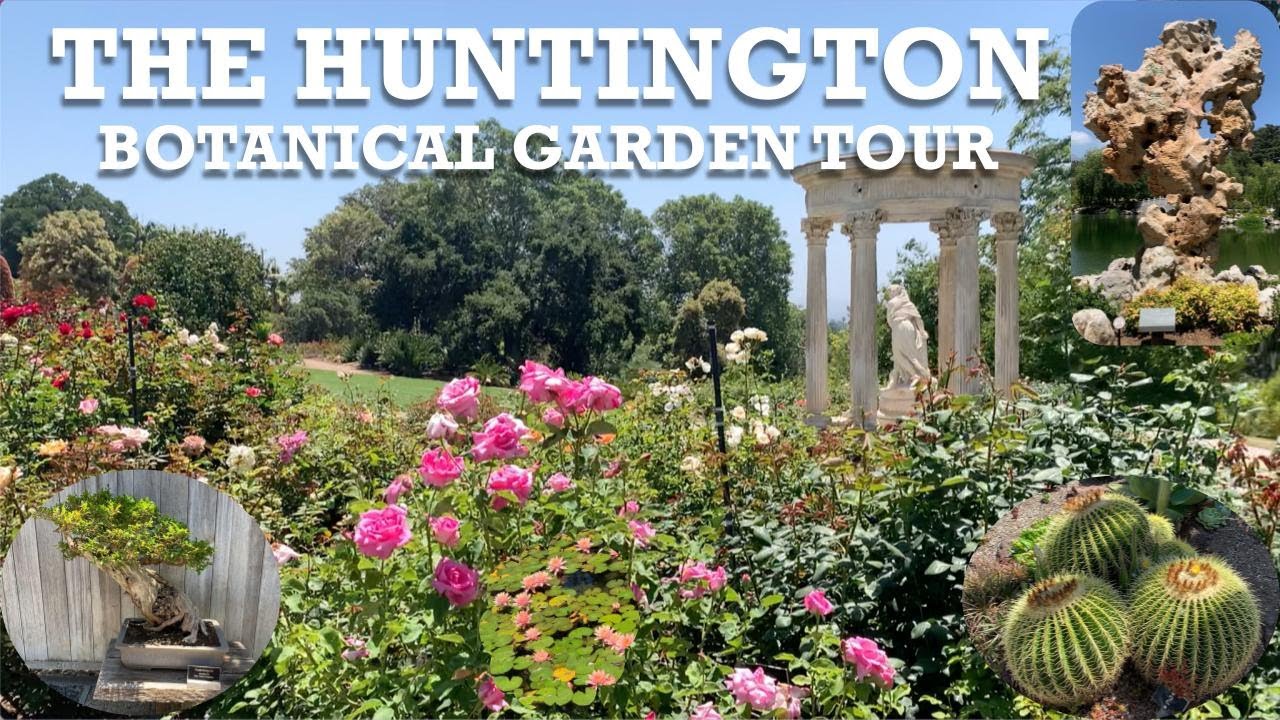 The Huntington Botanical Garden Tour