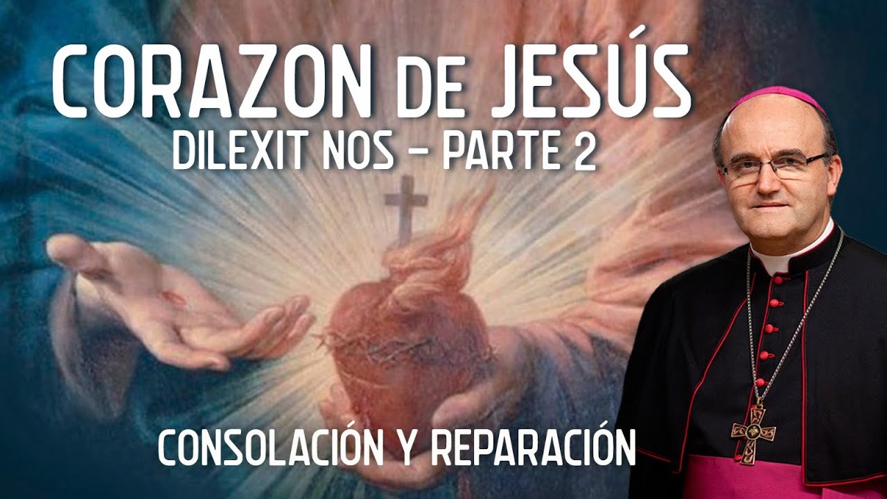 Encíclica sobre el Corazón de Jesús (DILEXIT NOS 2ª parte)