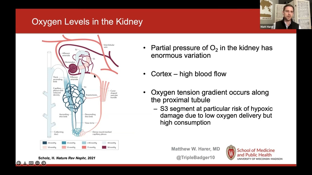 Renal NIRS Monitoring in the NICU: Current status and future directions
