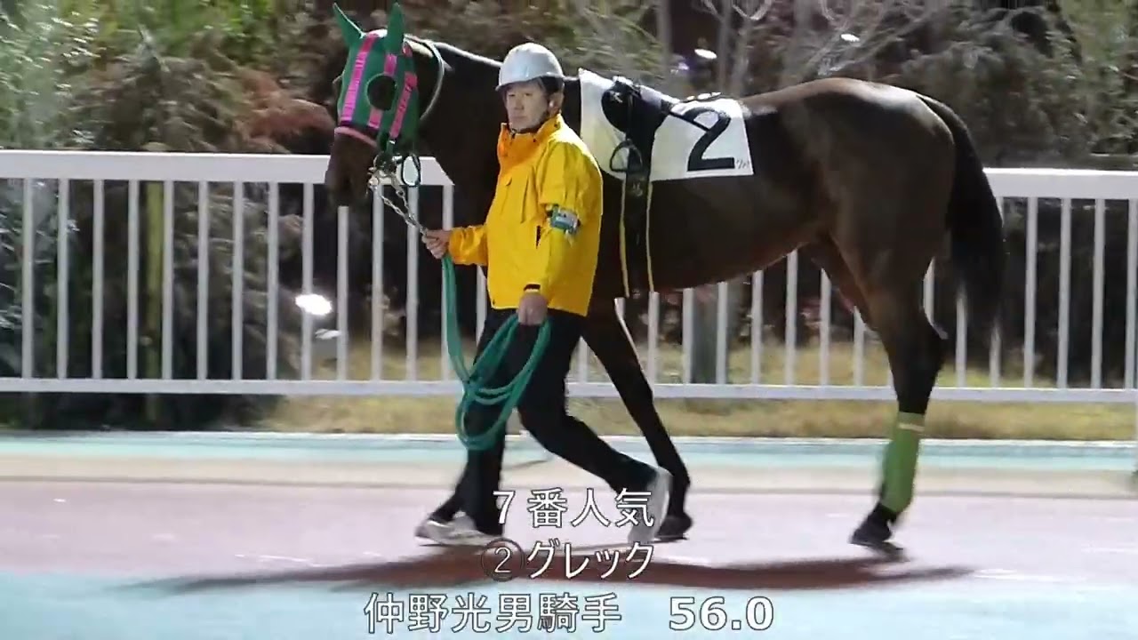 ２０２６年１月２１日船橋競馬場観戦日記（中編）