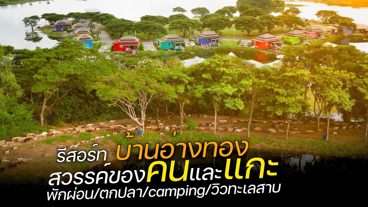 แม้แต่แกะก็มีความสุข พื้นที่กว่า 500 ไร่ จากบ่อดูดทรายกลายมาเป็นทะเลสาบ บรรยากาศเลิศนี่คือสวรรค์ชัดๆ
