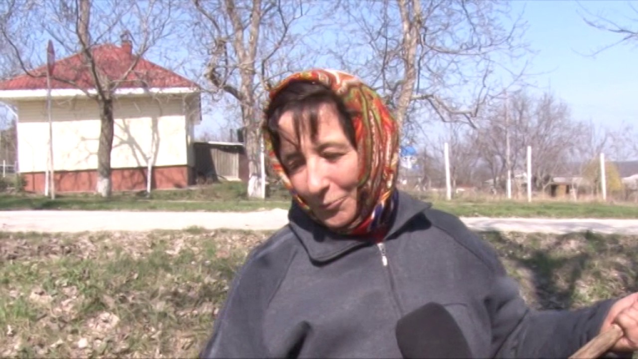 2017 03 31 s Gl Campanie de curatenie in satul Petrunea