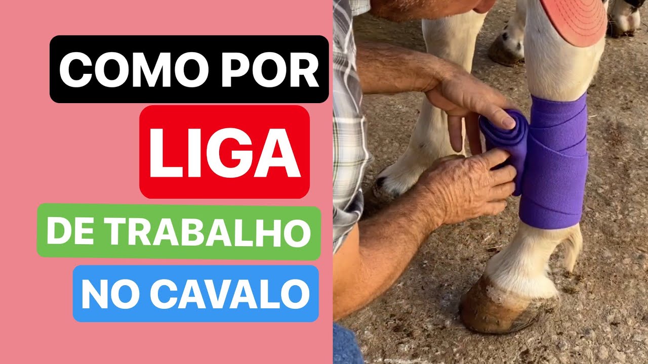 COMO POR LIGA DE TRABALHO NO CAVALO