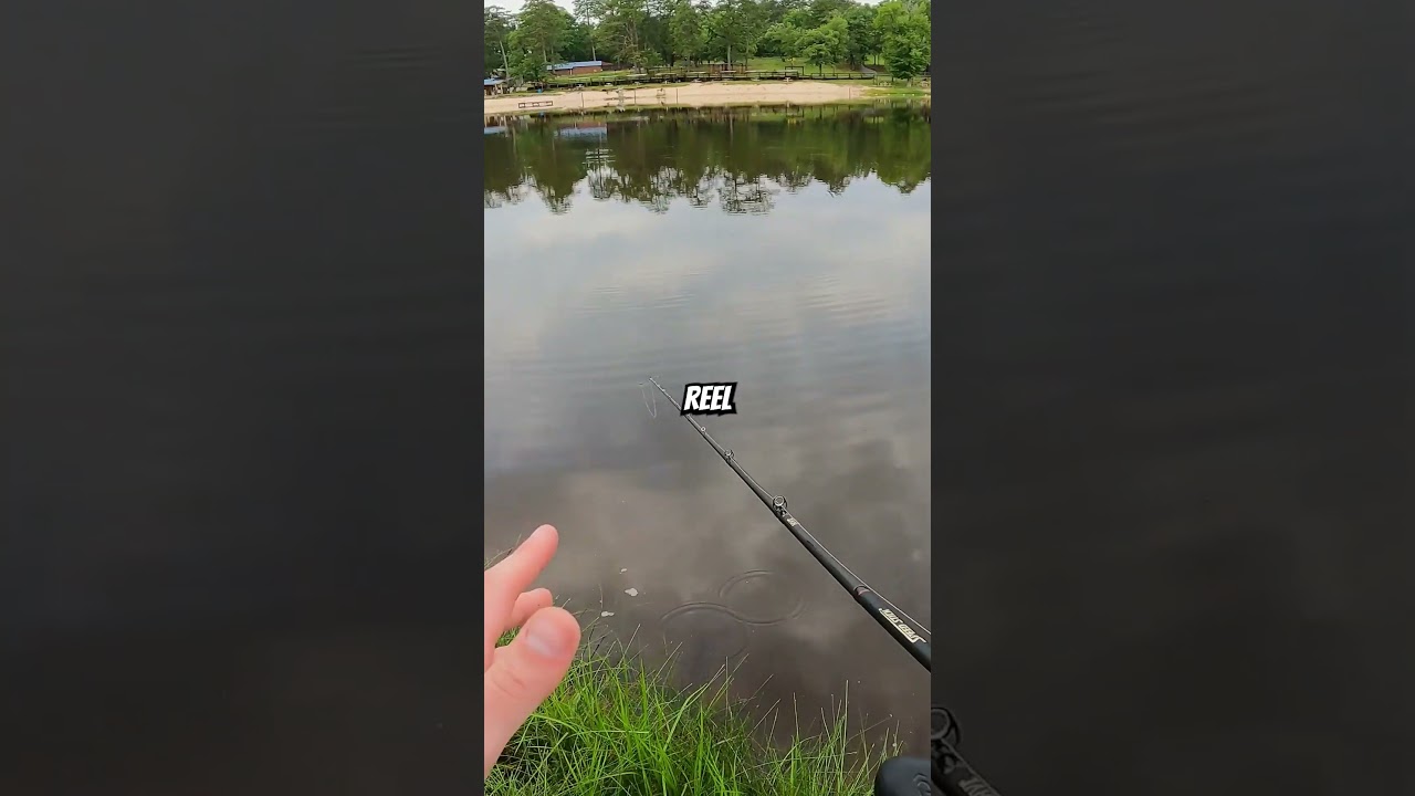 Вот как ловить рыбу на скользящую приманку для чайников #ловлябаса #шорты