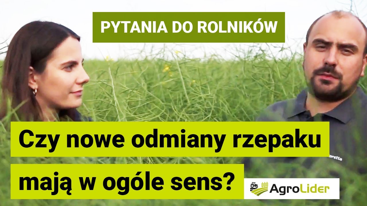 Jak wyglądają nowe odmiany rzepaku? Czy warto je siać? | SY FLORETTA