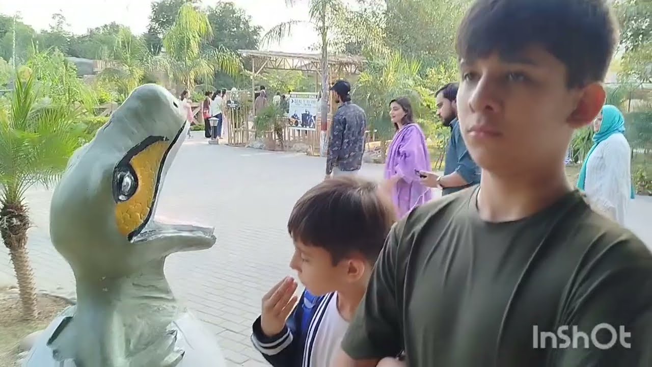 🐱🐯🦒🦜🐦🦚B 17 , Multi Zoo Trip 🐘🐴🦓🦁🐯