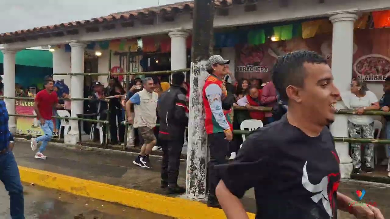 Toros tlacotalpan febrero 2026