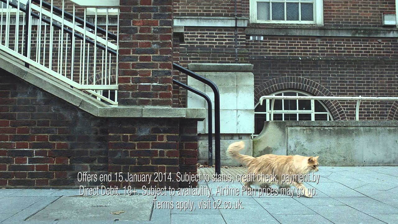 O2 Sale Race: Xperia Z1, 1020 & Note 3 in 20 seconds