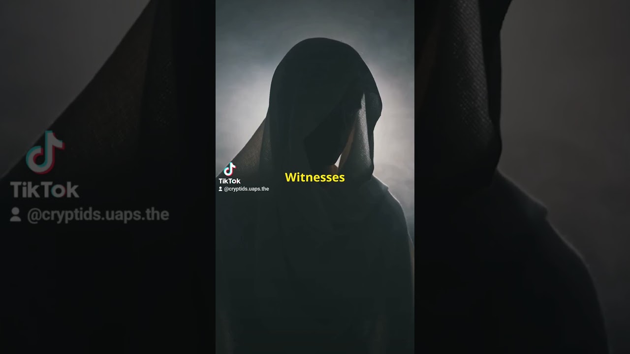 Who (or What) are Shadow People?