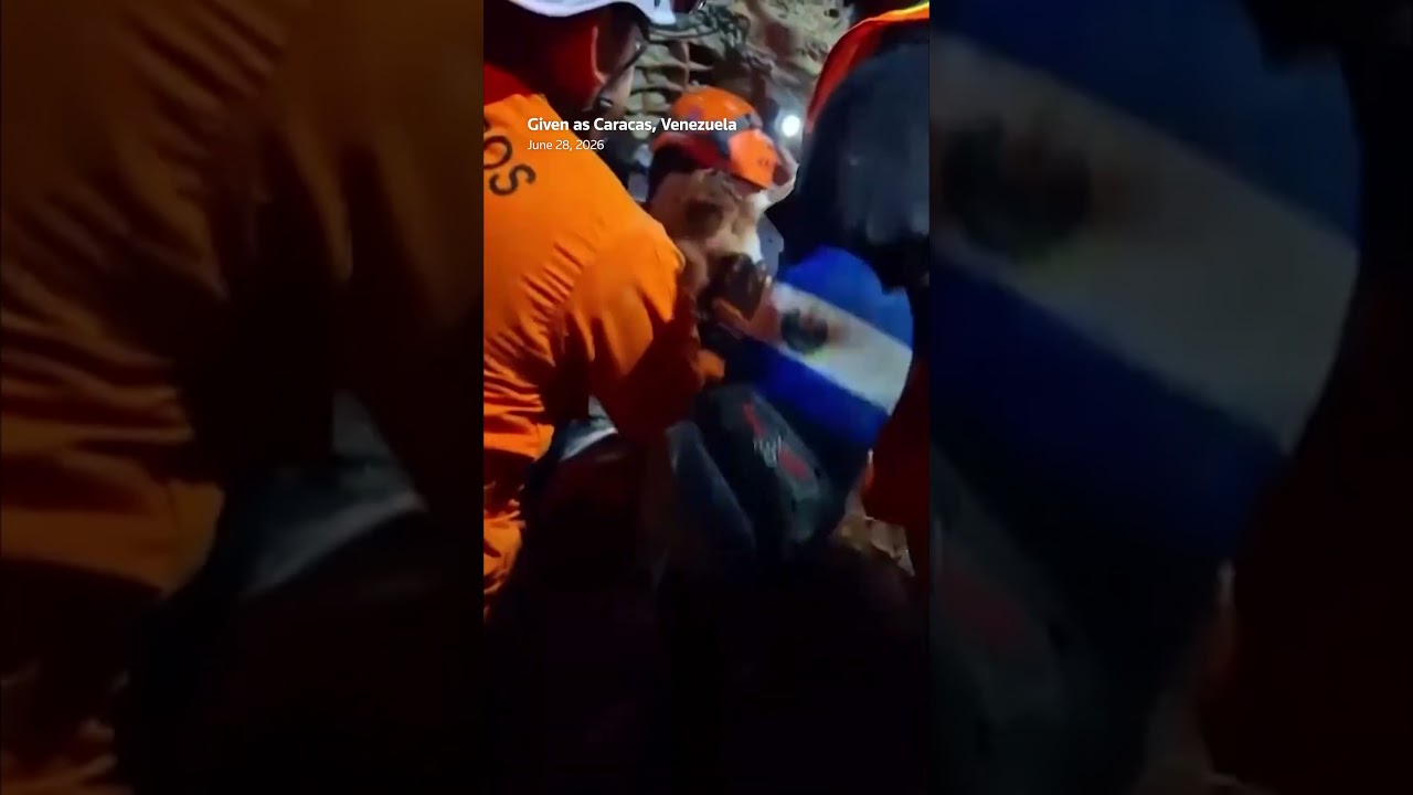 Puppy pulled alive from Venezuela earthquake rubble