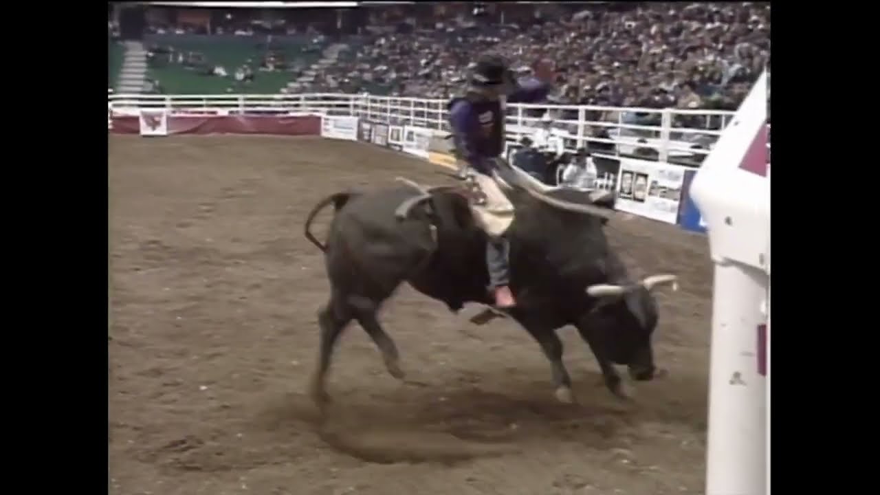 Curt Lyons vs Brush Popper - 99 PBR Calgary (88.5 pts)
