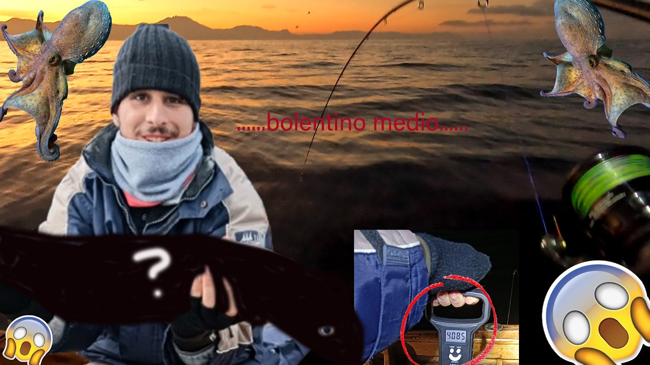 cattura preistorica! mostro a bolentino medio costiero con esca sarda e anche polpi in canna!