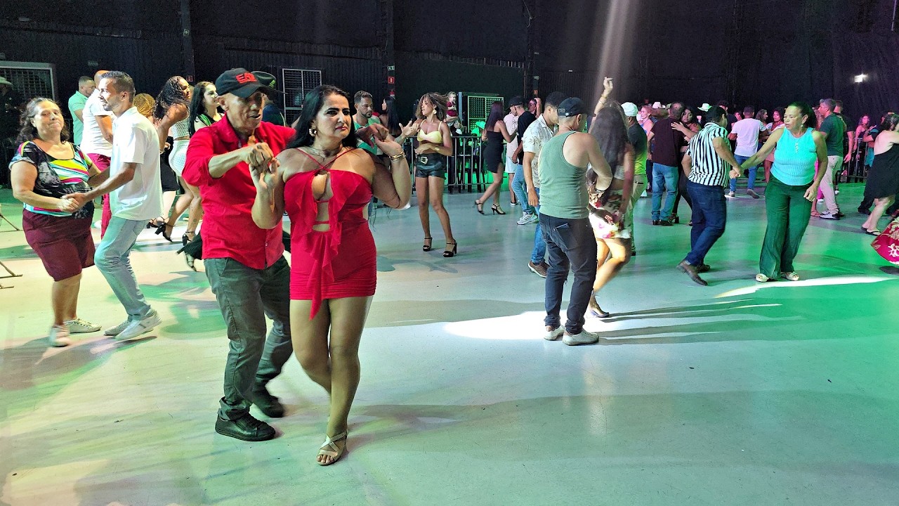 NA CASA DO ZÉ | AS MELHORES DO BAILÃO 