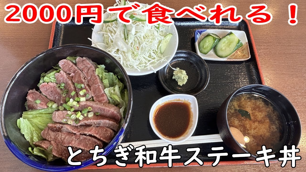 【道の駅ばとう】2000円で食べられる！とちぎ和牛ステーキ丼を食べたら美味すぎた！