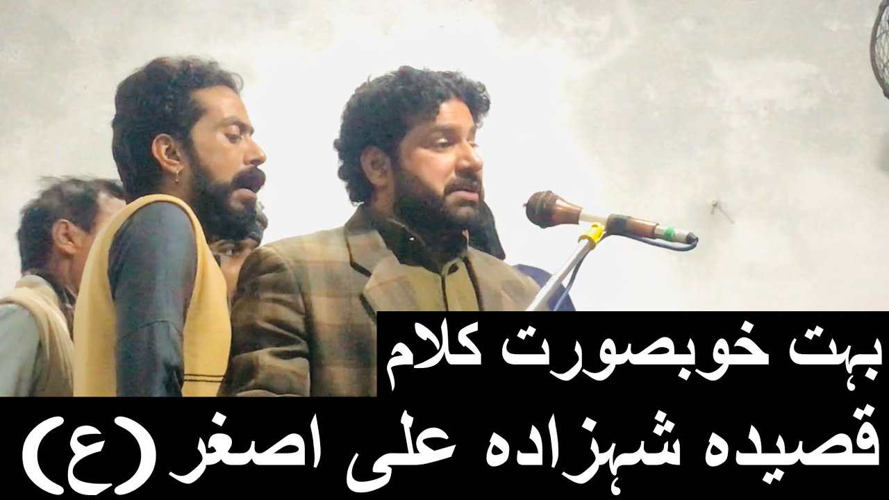 Qasida Shehzada Ali Asghar(AS)🙏🏻❤️ Zakir Adeel Altaf Hussain Jafri #yaali #yahussain #viral