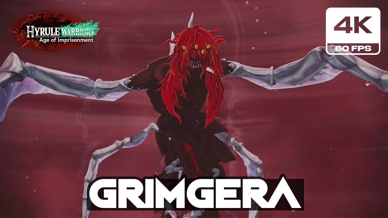 Hyrule Warriors Age of Imprisonment - Archfiend Grimgera Boss Fight (4K 60FPS)