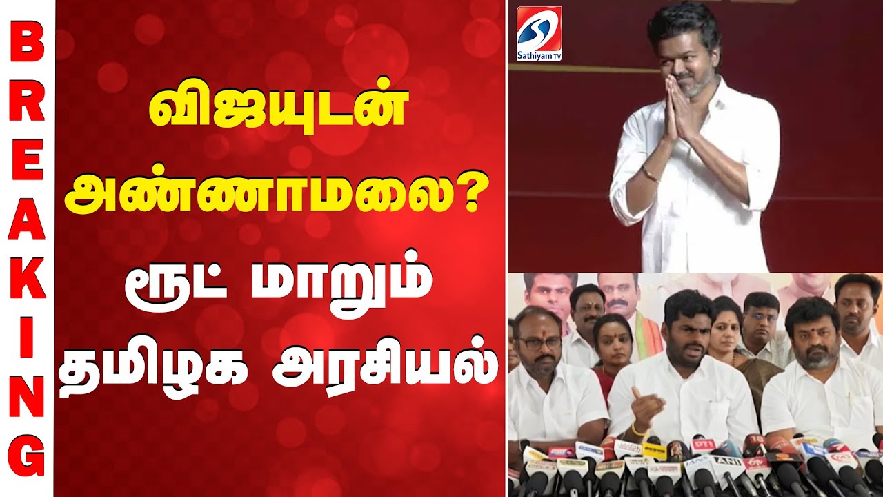 ANNAMALAI | TVK VIJAY | விஜயுடன் அண்ணாமலை..?- ரூட் மாறும் தமிழக அரசியல்