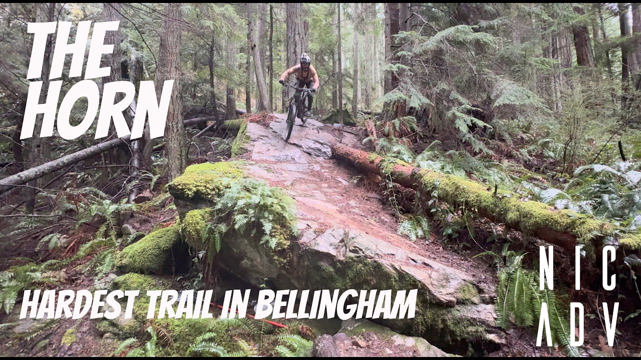 The Horn Bellingham Washington | First Lap trail review