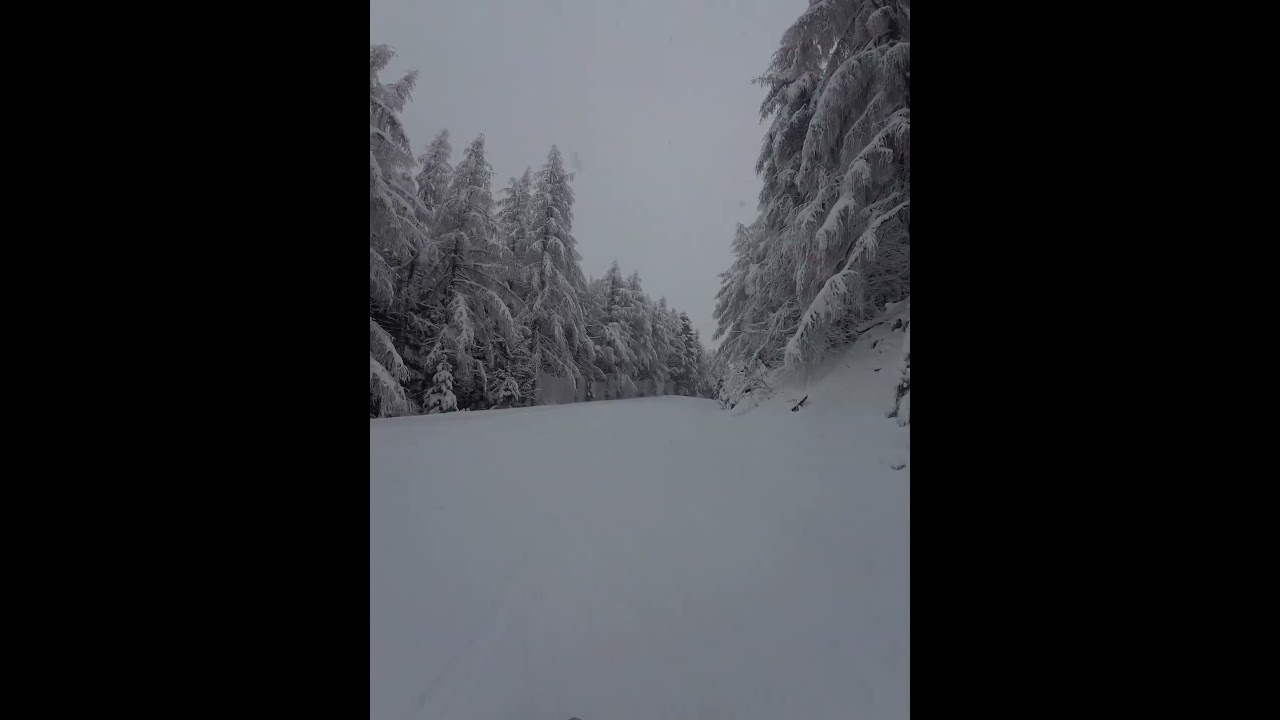 A Natale si scia!! ⛷️⛷️⛷️❄️❄️❄️ 