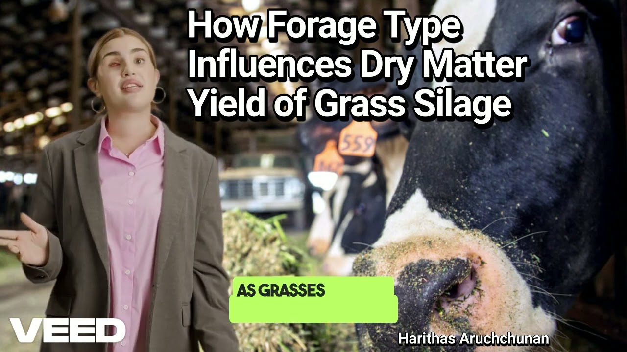 How Forage Type Influences Dry Matter Yield of Grass Silage: What Every Dairy Farmer Should Know