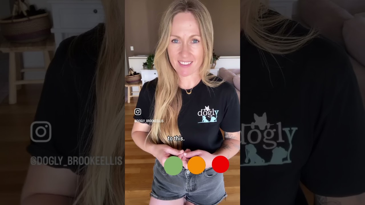 Second Fear Period in Dogs