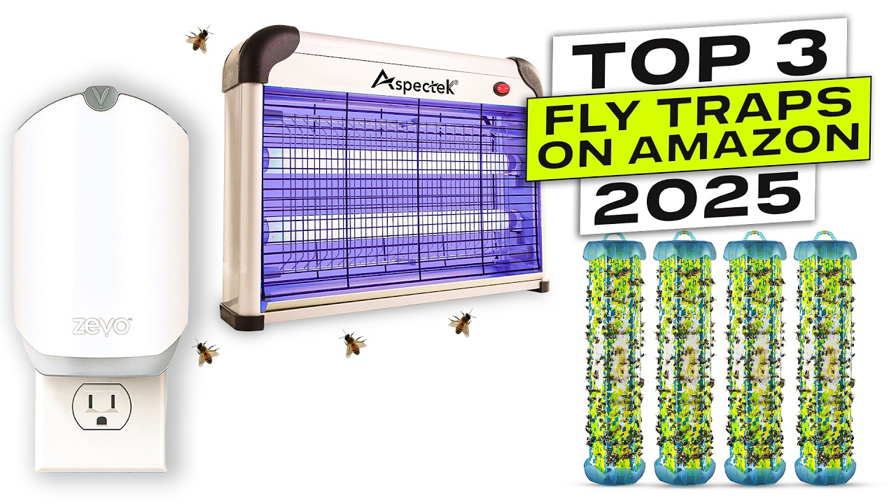 Top 3 BEST Fly Trap on Amazon 2025
