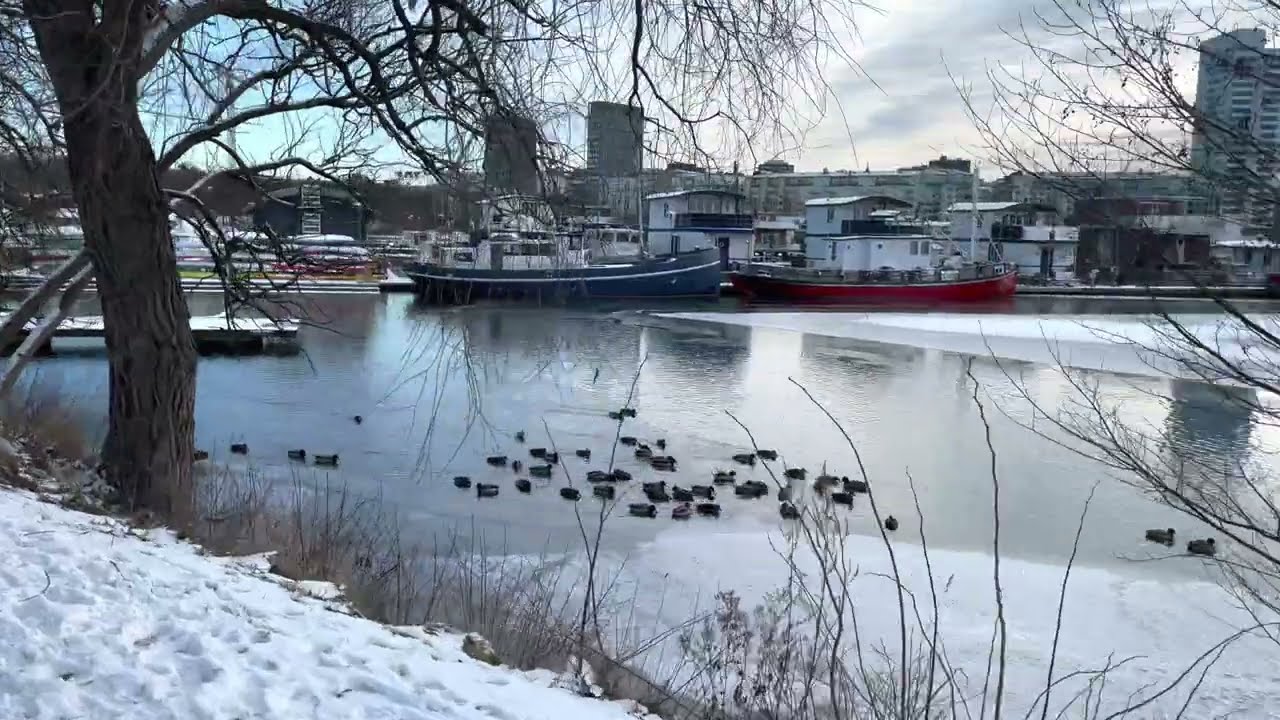 Stockholm Walks: Pampas marina. From the harbor area in Solna to the shoreline of Kungsholmen