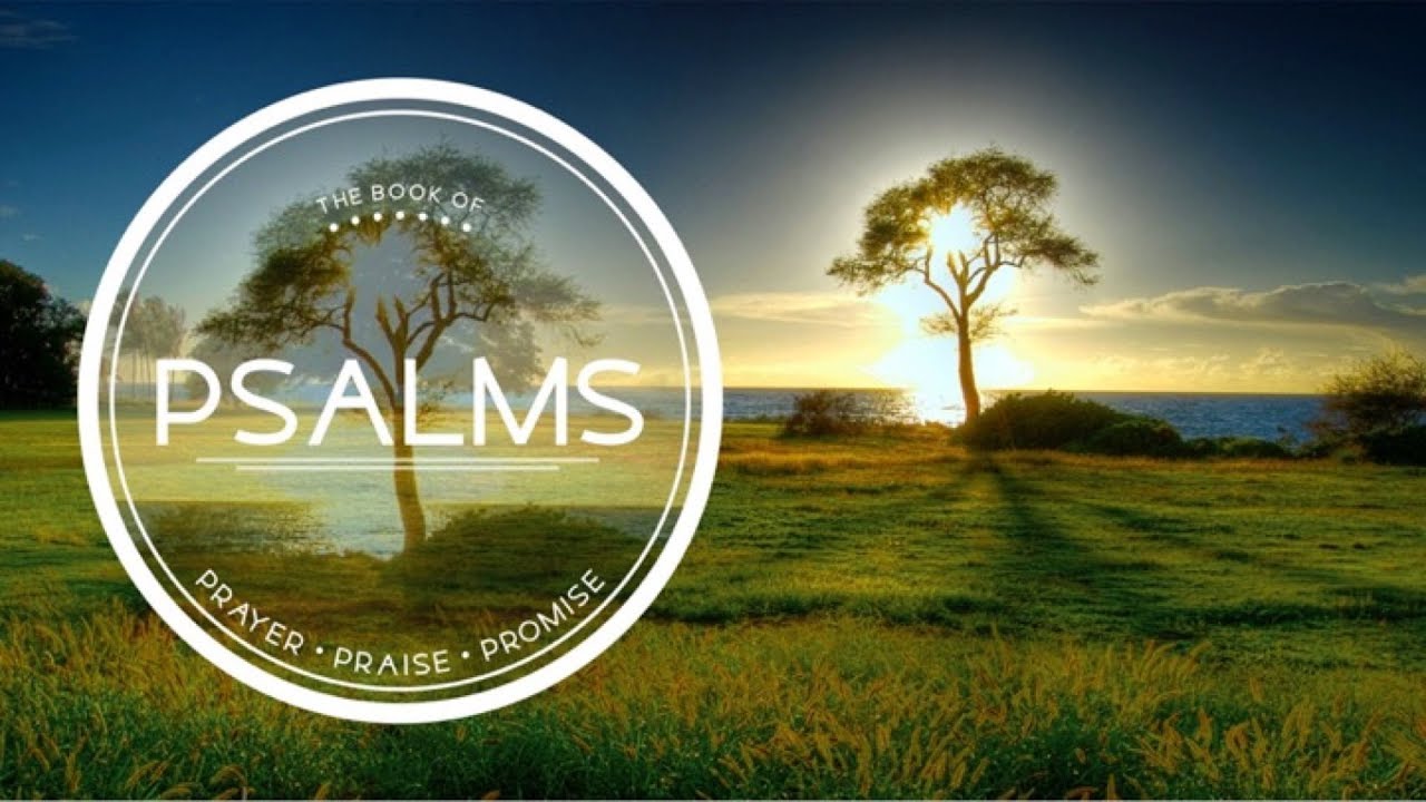 How to Endure Undeserved Suffering (Psalm 10)