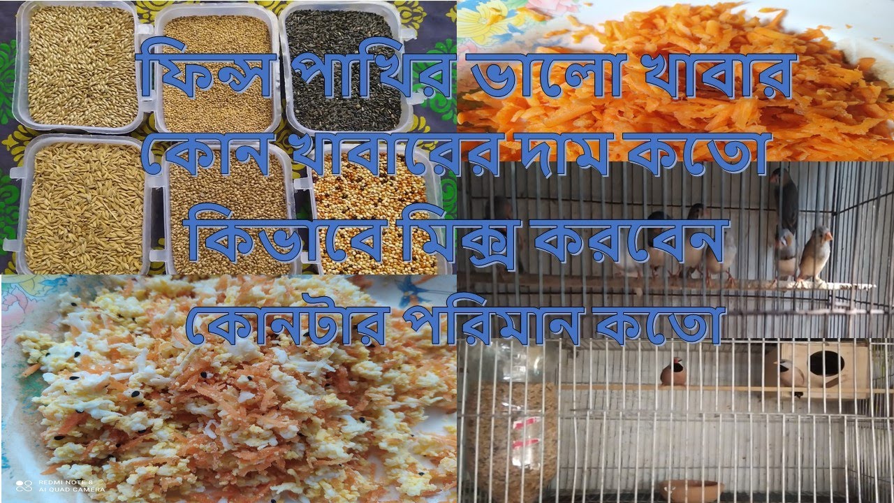 Finch Birds Best Food ।  ফিঞ্চ পাখির খাবার মিক্সার । কোন খাবারের দাম কতো