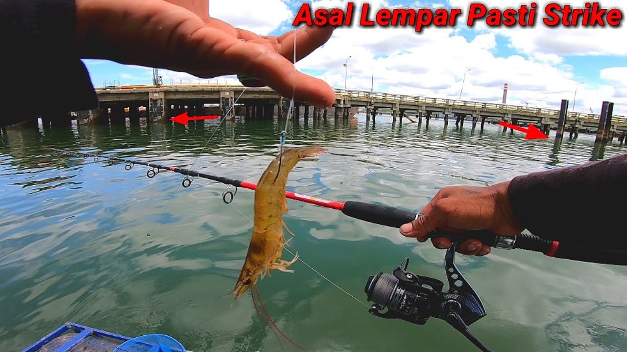 Spotnya Begini_Di Tambah Udang Hidup_Aduh,,,Bikin Gak Tahan.