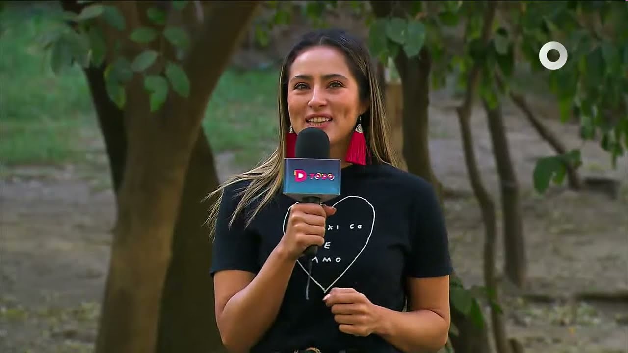 D Todo - Fiesta para el Mezquital (25/01/2022)