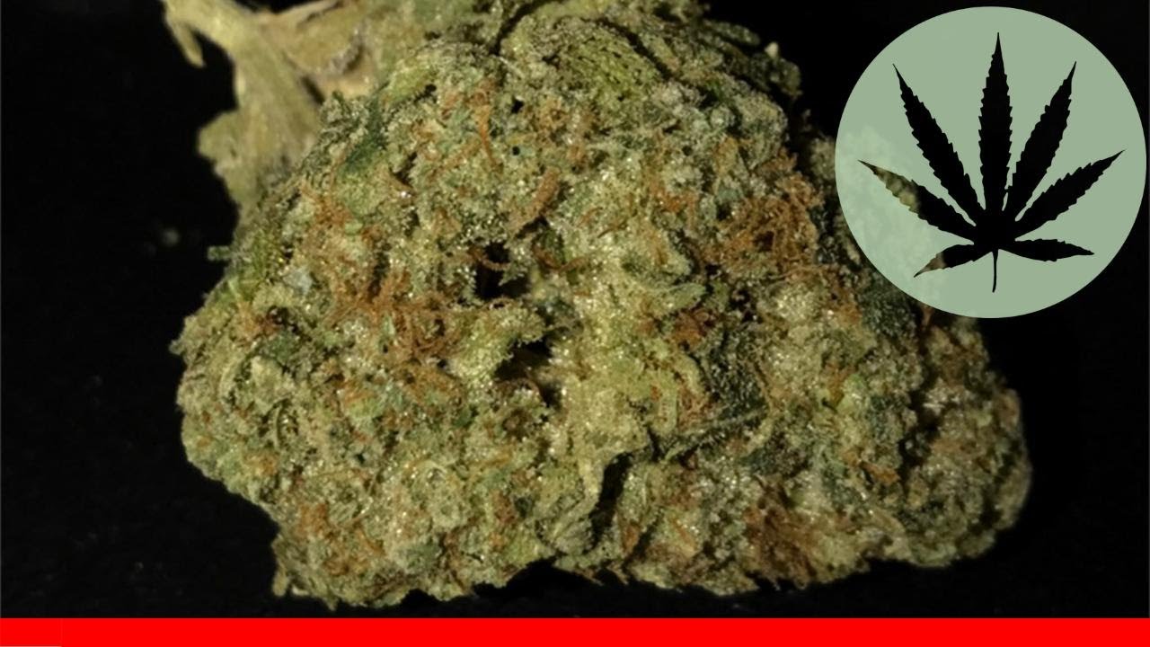 Hardcore Og - All About This Strain