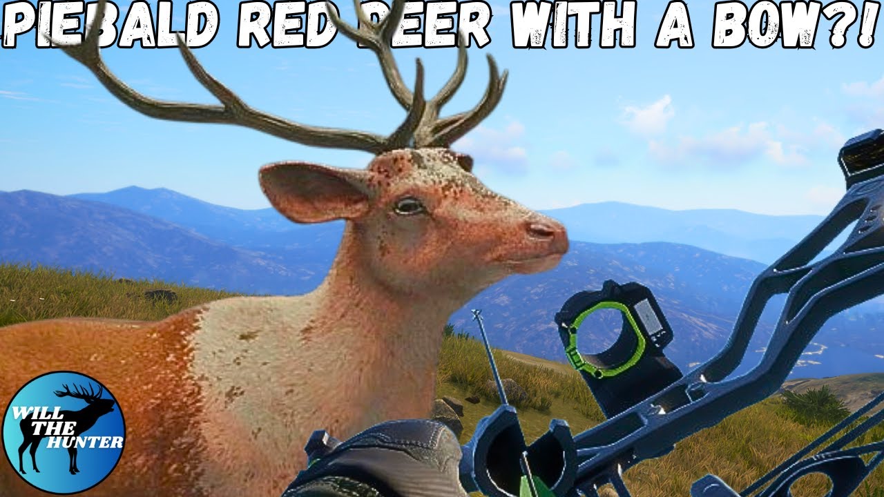 Bow Hunting A PIEBALD Red Deer In Scotland?! TheHunter Call Of The Wild