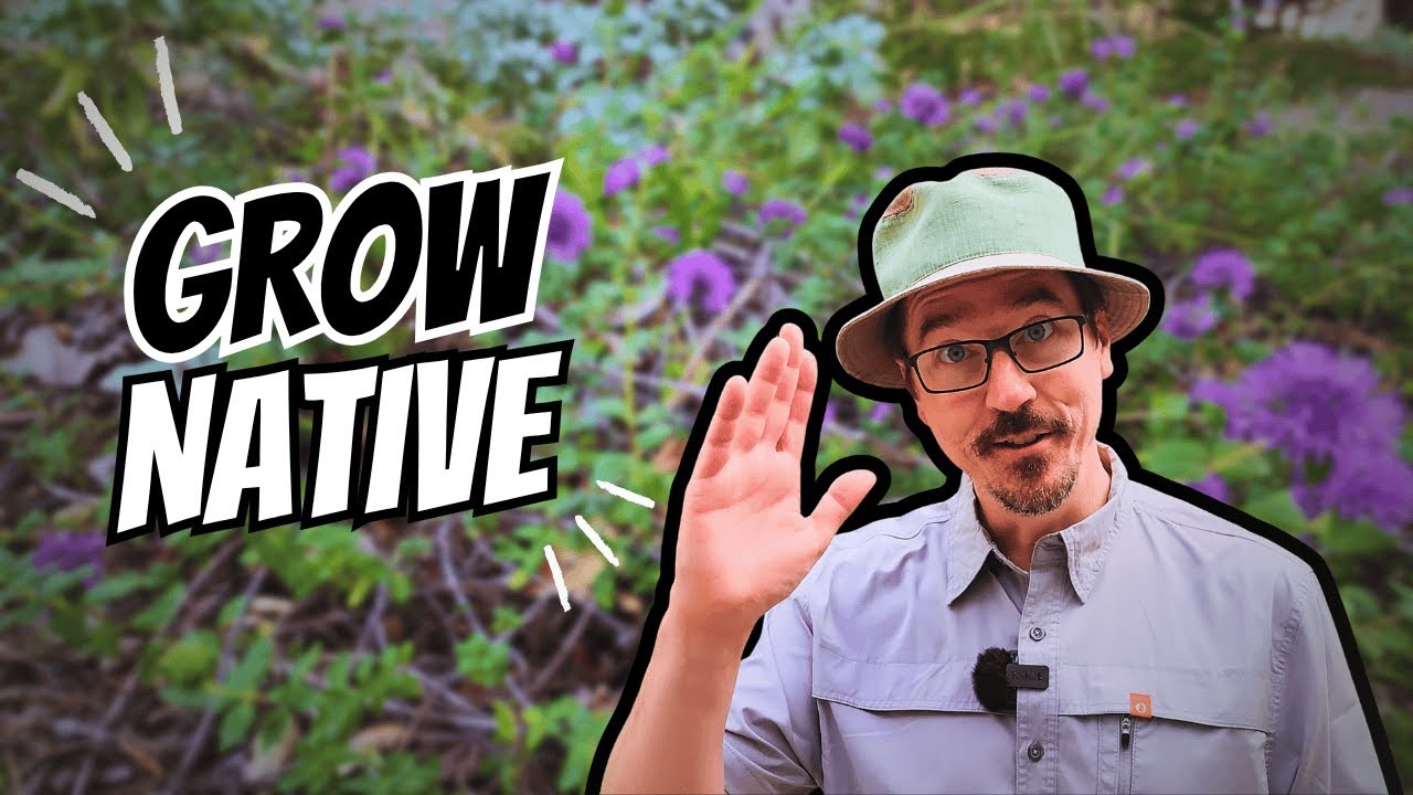 California Native Plants 101 (What They Are + 5 Examples)