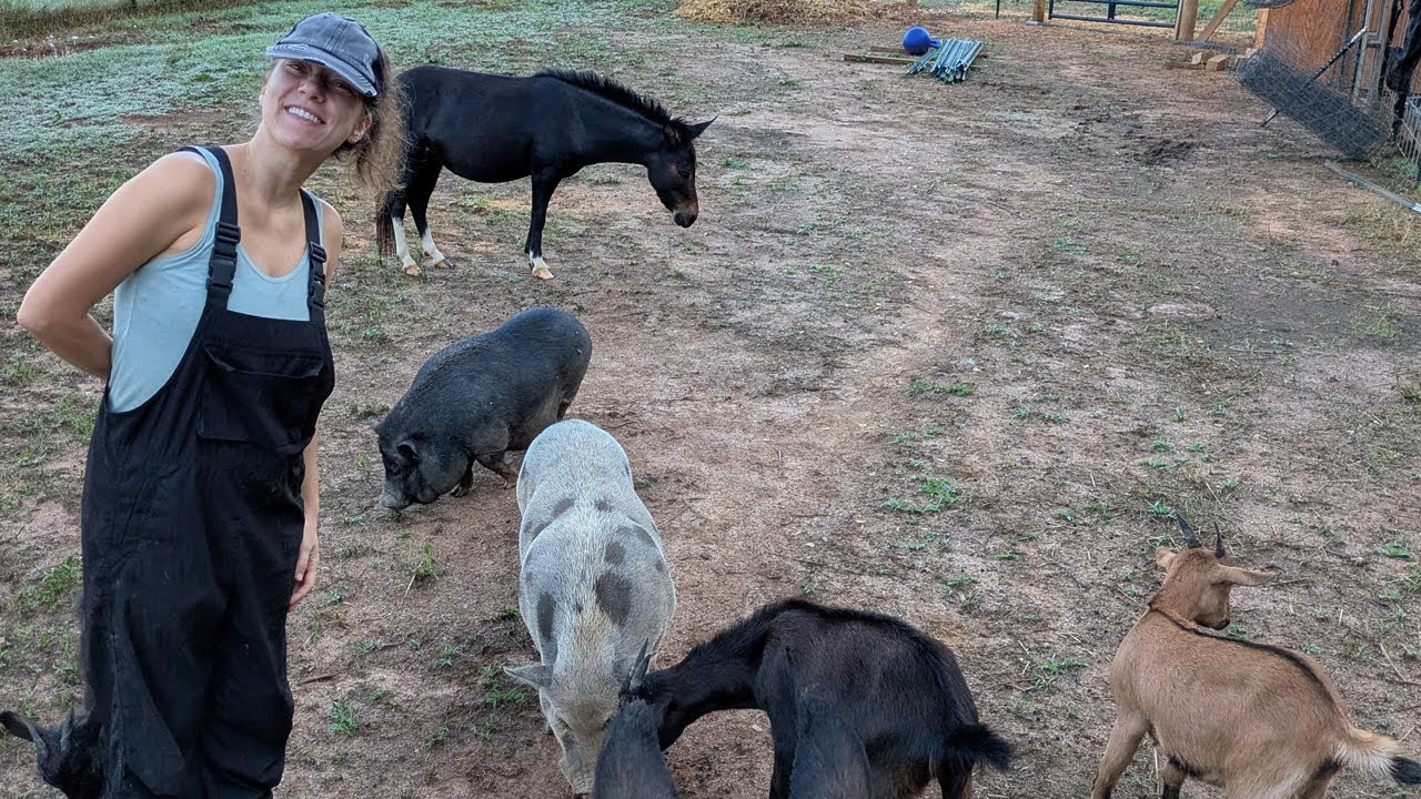 New Rescue Animals! | July 2025 Vlog | Ohcluck