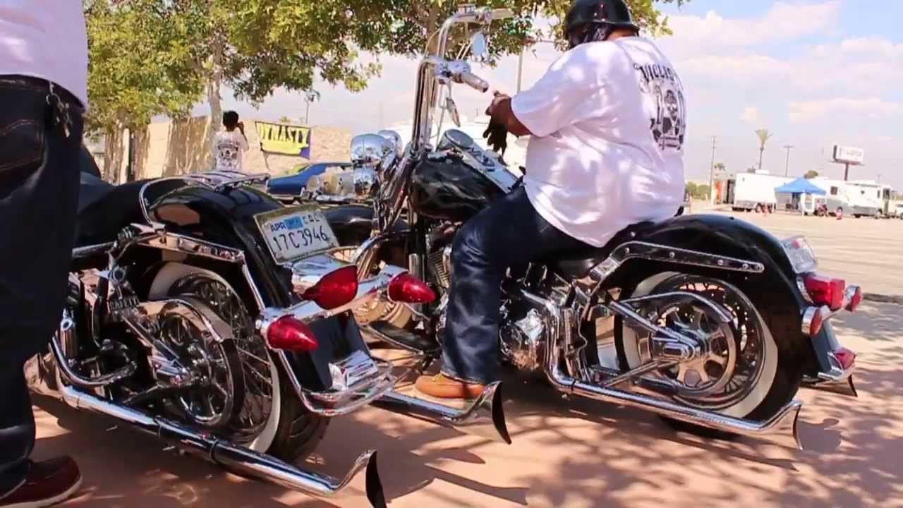 Show and Shine with Buky Bars